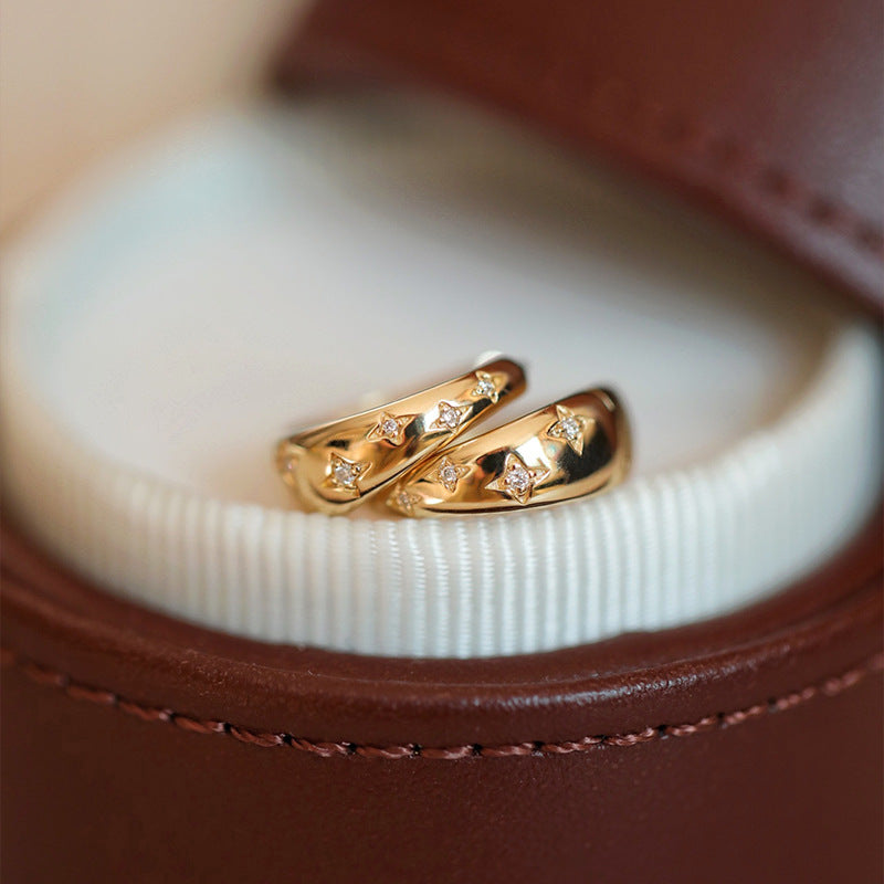 Luxury Gold & Silver Earrings